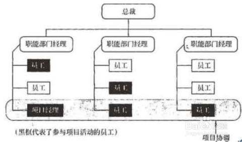 系统集成项目管理工程师 项目组织分类与系统集成实践解析
